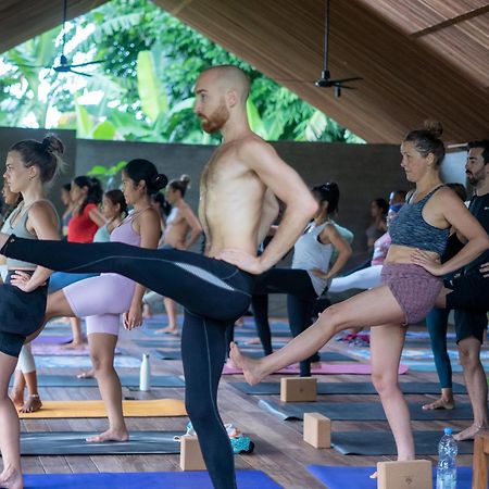 Ubuntu Bali Eco Yoga Retreat - Canggu Eksteriør bilde