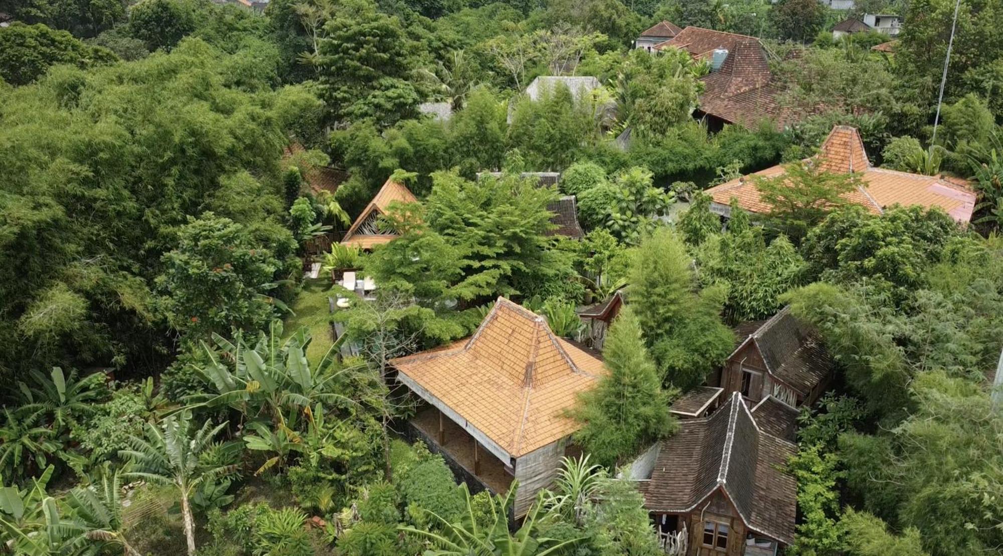 Ubuntu Bali Eco Yoga Retreat - Canggu Eksteriør bilde