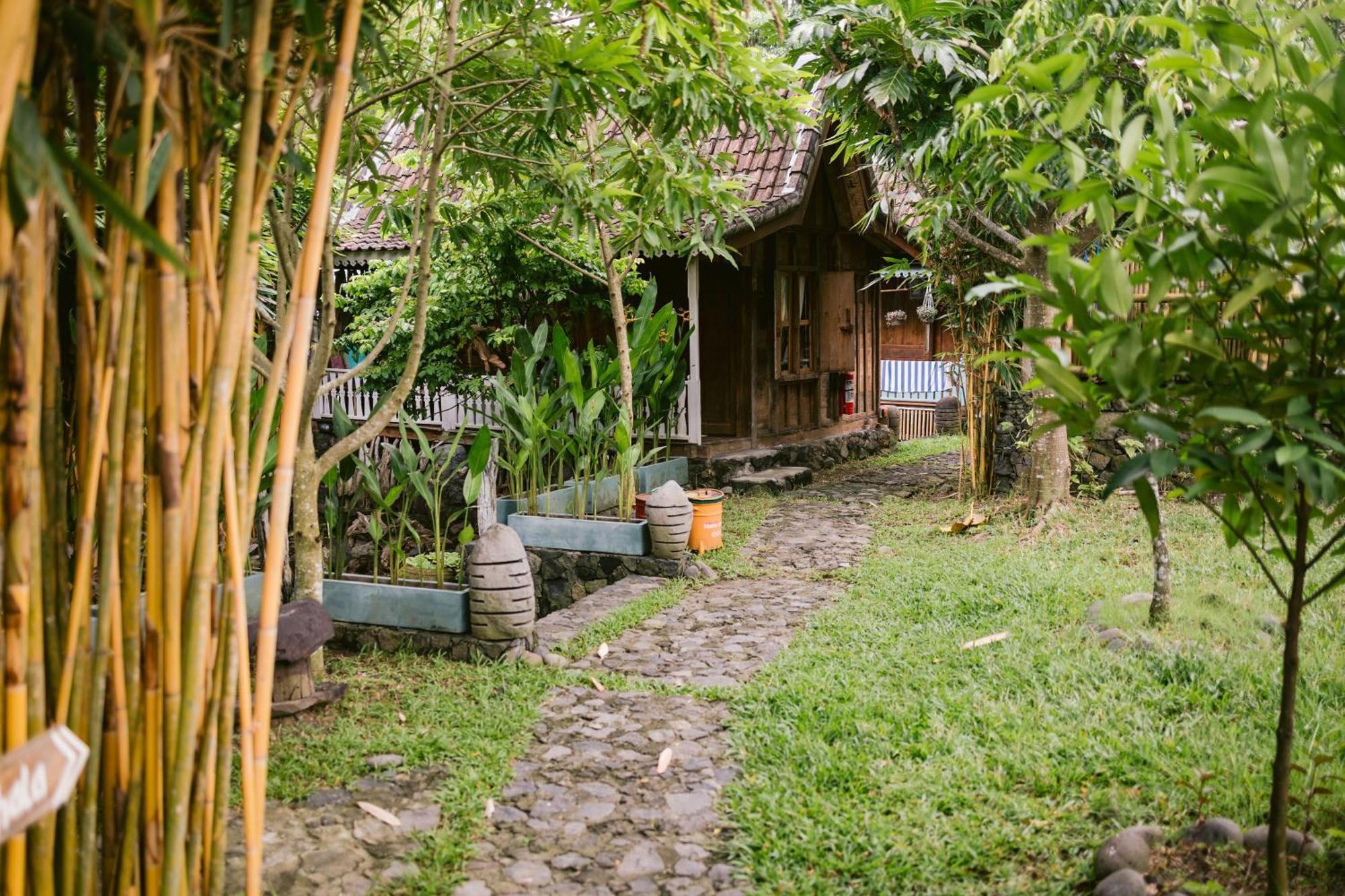Ubuntu Bali Eco Yoga Retreat - Canggu Eksteriør bilde