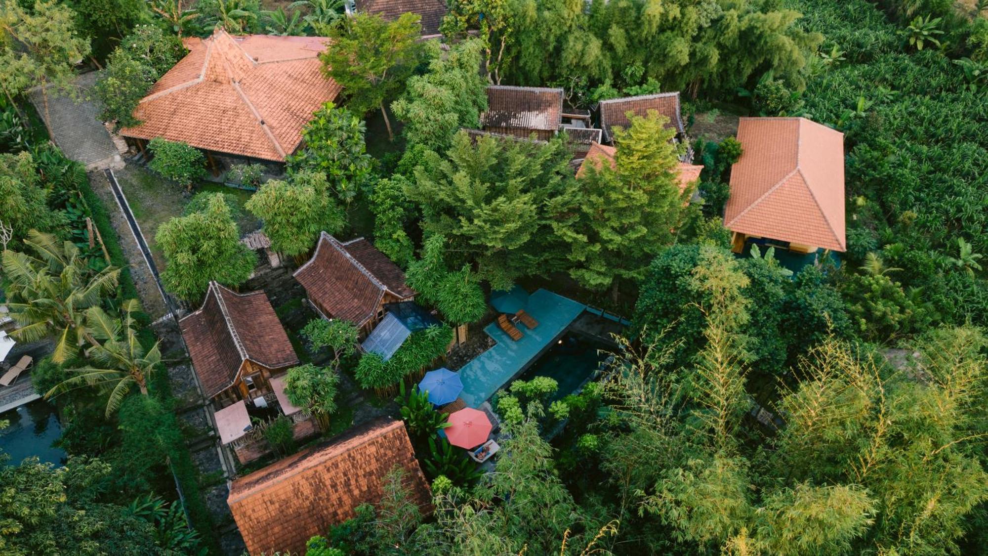 Ubuntu Bali Eco Yoga Retreat - Canggu Eksteriør bilde